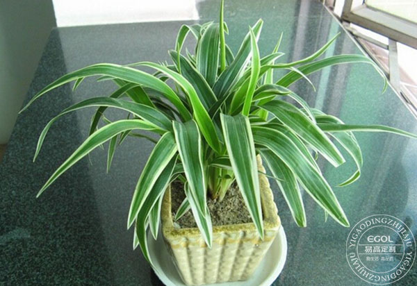 滾蛋吧 甲醛君!